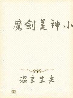 魔剑美神小说