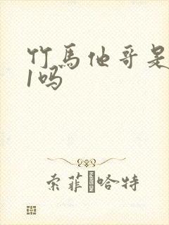 竹马他哥是1v1吗