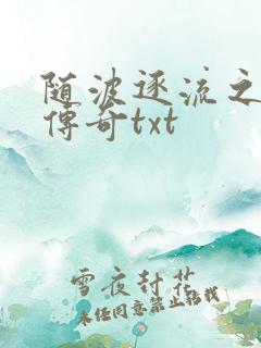 随波逐流之神龙传奇txt