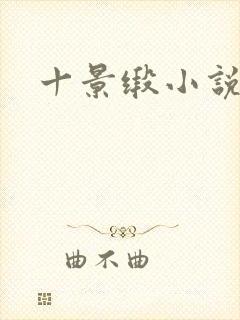 十景缎小说