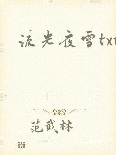 流光夜雪txt