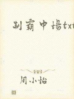制霸中场txt