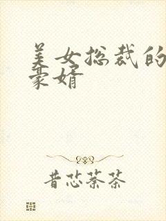 美女总裁的顶级豪婿