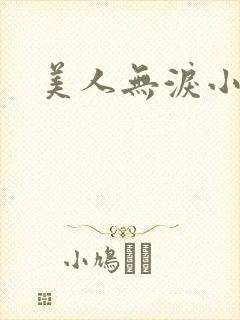 美人无泪小说
