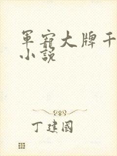 军宠大牌千金 小说