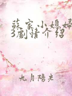 苏家小媳妇1v3剧情介绍