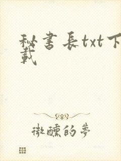 秘书长txt下载