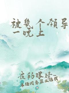 被几个领导玩弄一晚上