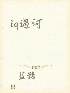 iq过河