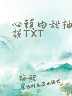 心头肉甜柚子小说TXT
