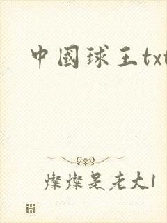 中国球王txt