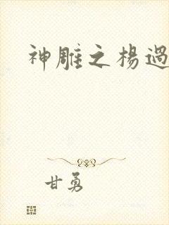 神雕之杨过新传