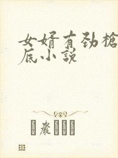 女婿有劲枪枪到底小说