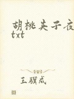 胡桃夹子夜未眠txt