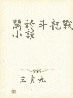 关于斗龙战士的小说