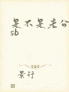 是不是老公的小sb