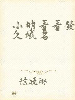 小明看看发布永久域名