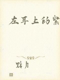 左耳上的紫水晶