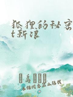 狐狸的秘密txt新浪