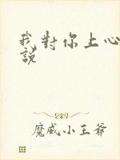 我对你上心了小说