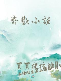 齐欢小说
