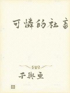 可怜的社畜分手