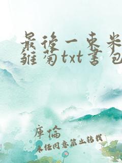 最后一束米迦勒雏菊txt书包网