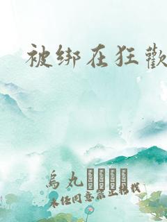 被绑在狂欢之椅