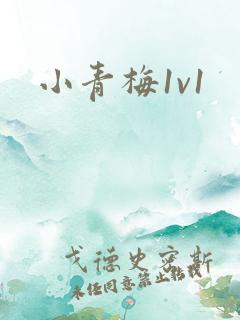 小青梅1v1