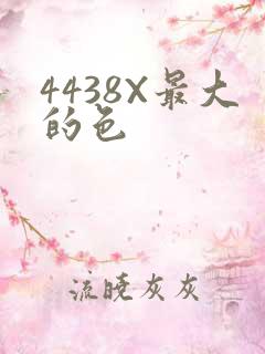 4438X最大的色