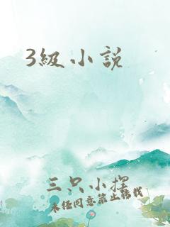 3级小说