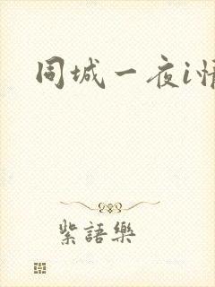 同城一夜i情