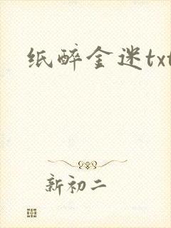 纸醉金迷txt