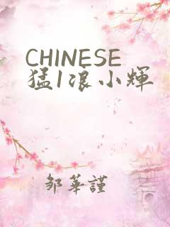 CHINESE猛1浪小辉