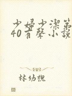 少妇少洁第1一40有声小说