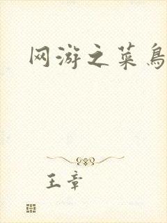 网游之菜鸟高手