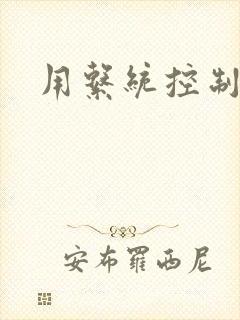 用系统控制女神