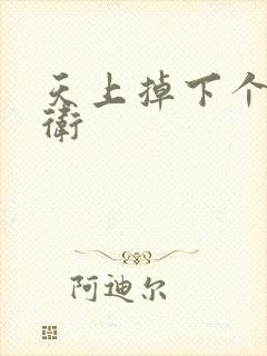 天上掉下个影卫卫