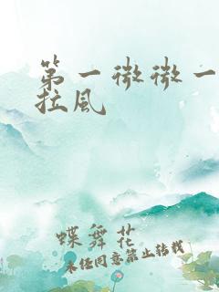 第一微微一笑很拉风