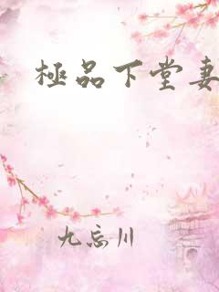 极品下堂妻