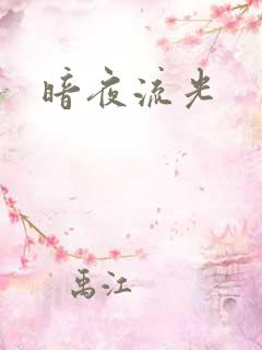暗夜流光