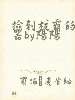 捡到校霸的遥控器by阳阳