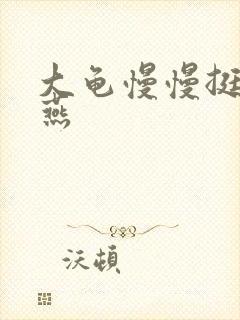 大龟慢慢挺进张燕
