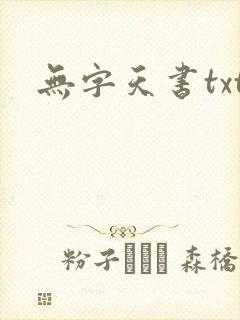 无字天书txt
