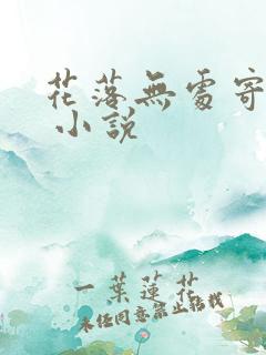 花落无处寄相思 小说