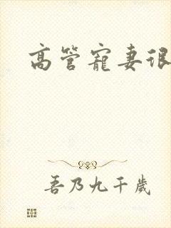 高管宠妻很丰满