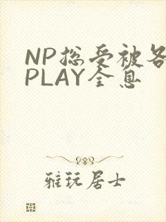 NP总受被各种PLAY全息
