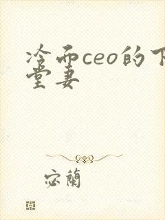 冷面ceo的下堂妻