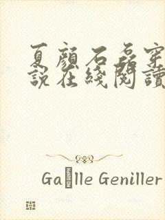 夏颜石磊穿越小说在线阅读