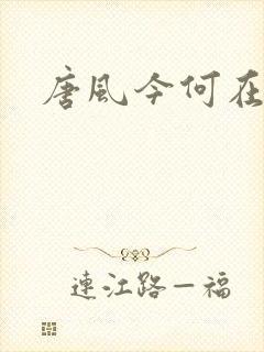 唐风今何在